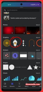 bingo tingo canva pro 